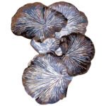 Midnight bloom | organic & sculpture |Blue, grey & lavender| Abstract